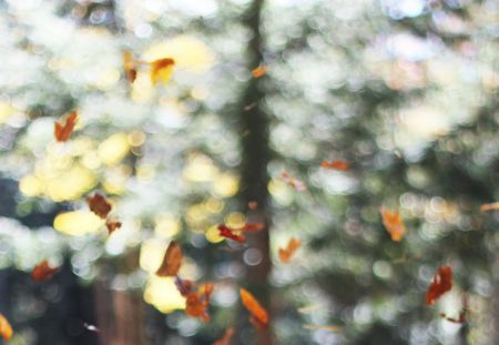 又到了调时钟的时候——10月25/26日凌晨德国开始冬令时啦！