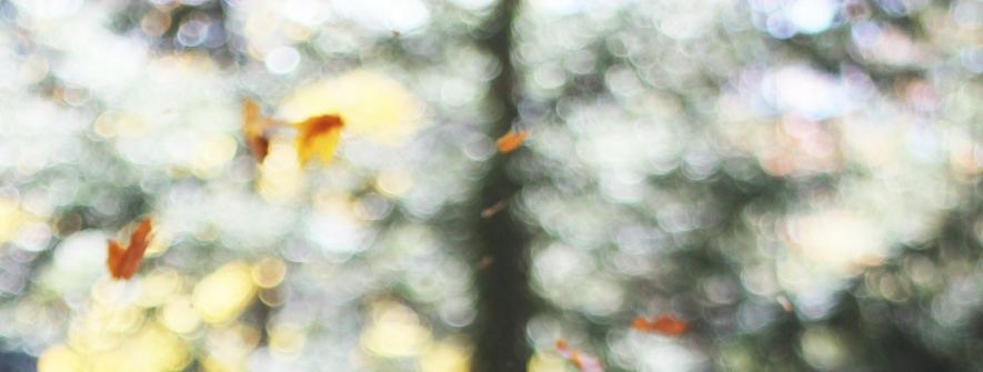 又到了调时钟的时候——10月25/26日凌晨德国开始冬令时啦！