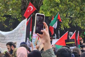 柏林加沙大游行：十几万人上街控诉德国“沉默的支持”